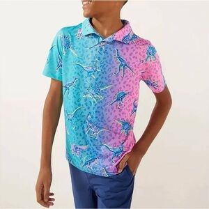 Chubbies Neon Blue Pink Ombré Cheetah Dinosaur Print Polo Shirt Youth Sz S Beach
